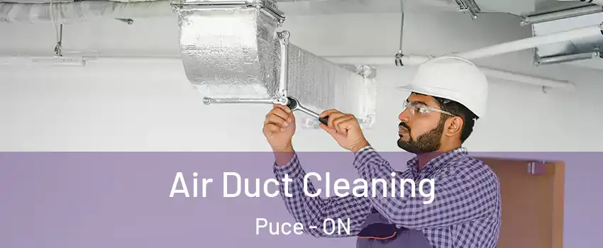  Air Duct Cleaning Puce - ON