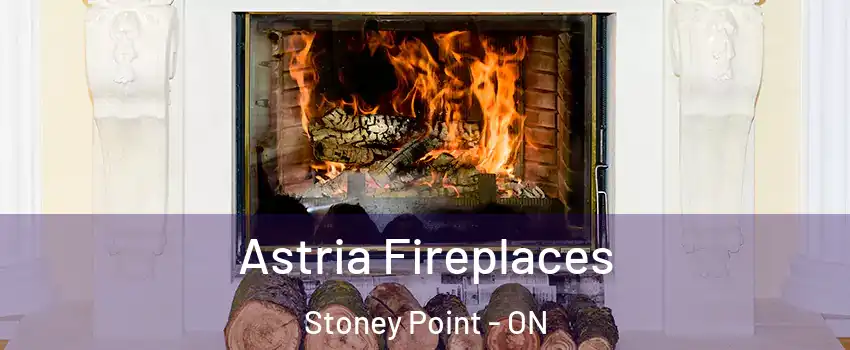  Astria Fireplaces Stoney Point - ON