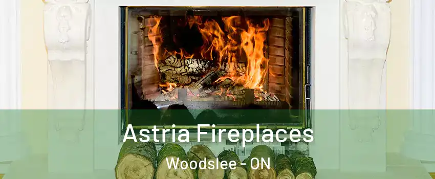 Astria Fireplaces Woodslee - ON