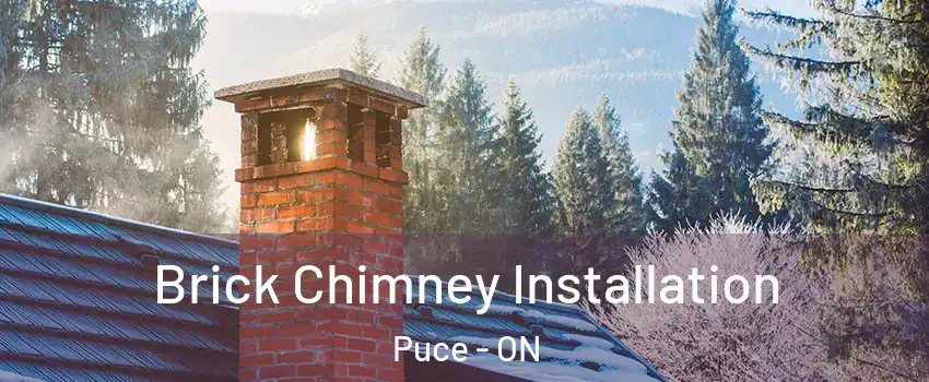 Brick Chimney Installation Puce - ON