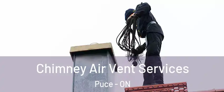  Chimney Air Vent Services Puce - ON