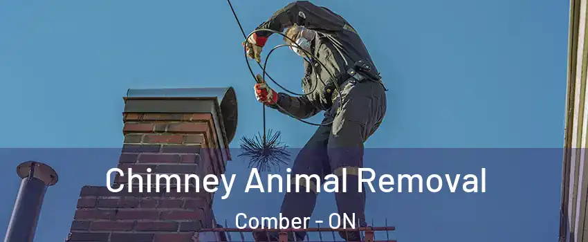 Chimney Animal Removal Comber - ON