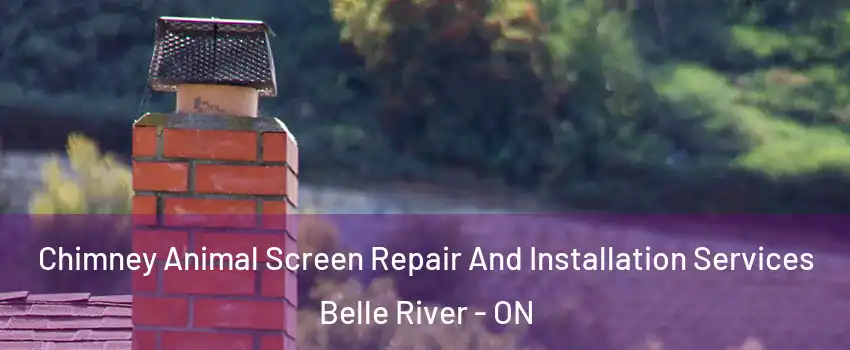  Chimney Animal Screen Repair And Installation Services Belle River - ON