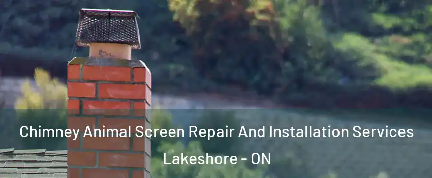  Chimney Animal Screen Repair And Installation Services Lakeshore - ON