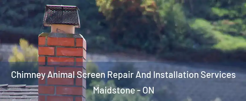  Chimney Animal Screen Repair And Installation Services Maidstone - ON