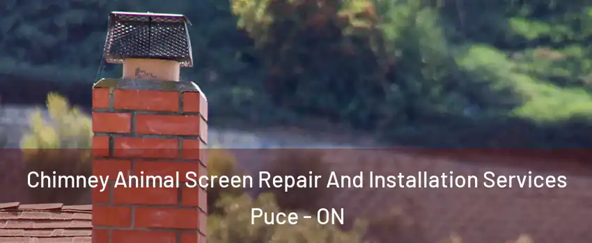  Chimney Animal Screen Repair And Installation Services Puce - ON