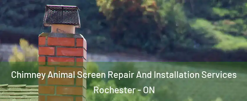  Chimney Animal Screen Repair And Installation Services Rochester - ON