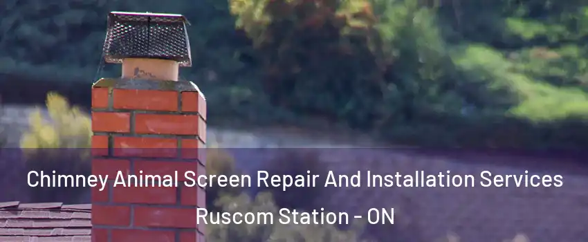  Chimney Animal Screen Repair And Installation Services Ruscom Station - ON