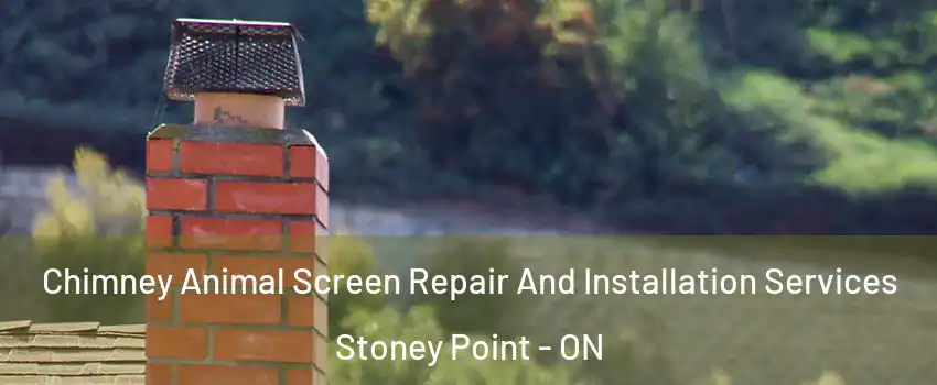  Chimney Animal Screen Repair And Installation Services Stoney Point - ON