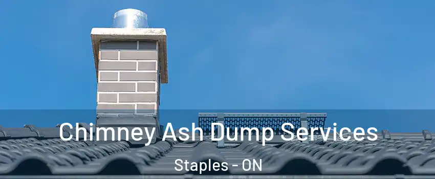  Chimney Ash Dump Services Staples - ON