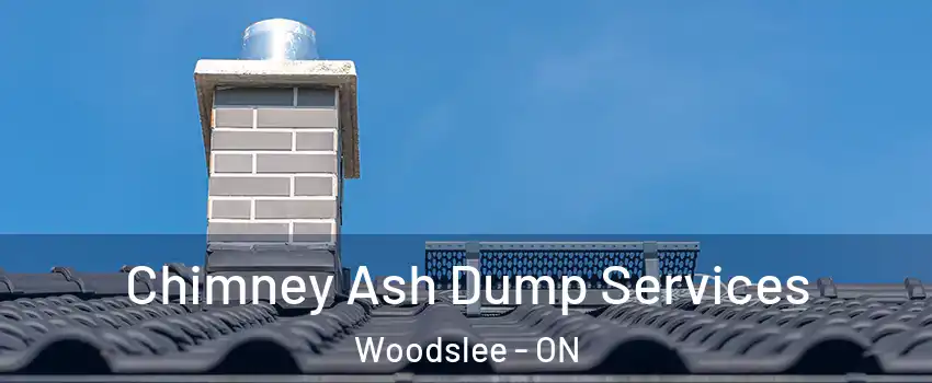  Chimney Ash Dump Services Woodslee - ON