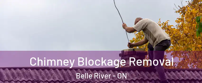  Chimney Blockage Removal Belle River - ON