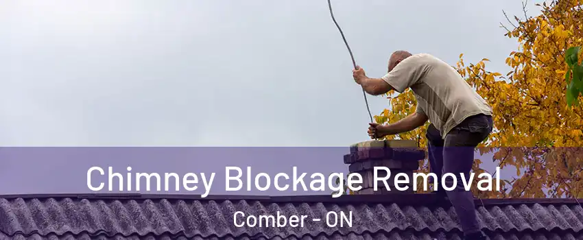  Chimney Blockage Removal Comber - ON