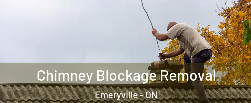  Chimney Blockage Removal Emeryville - ON