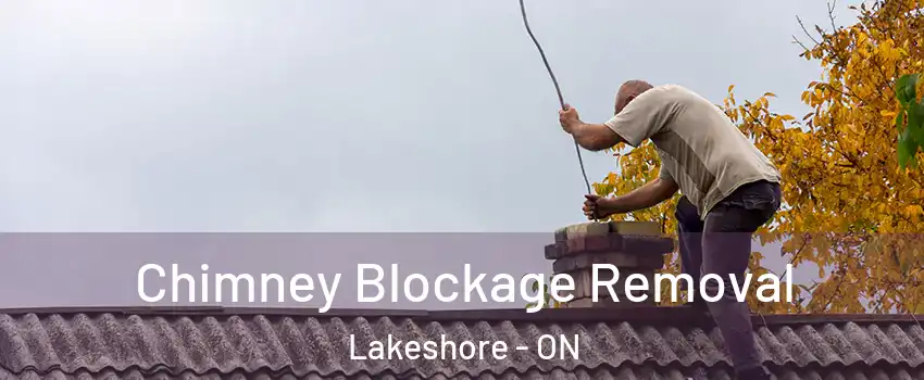  Chimney Blockage Removal Lakeshore - ON