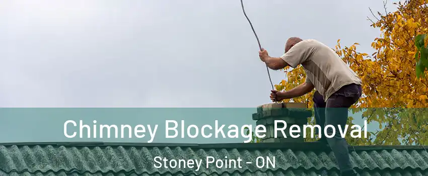  Chimney Blockage Removal Stoney Point - ON