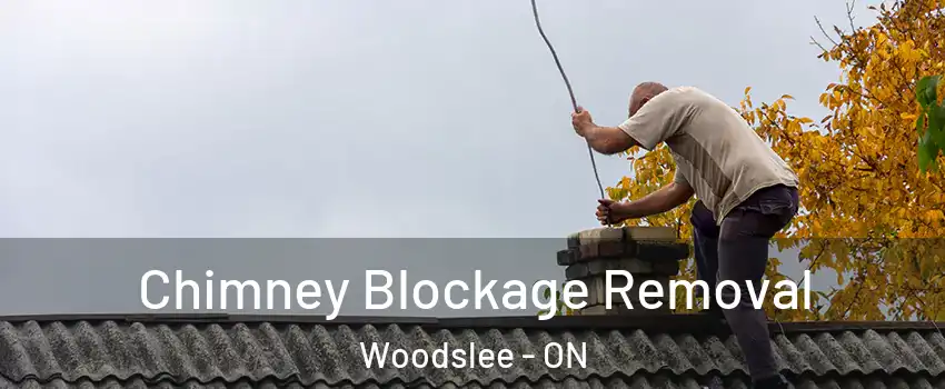  Chimney Blockage Removal Woodslee - ON