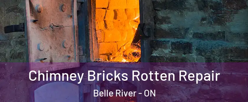  Chimney Bricks Rotten Repair Belle River - ON