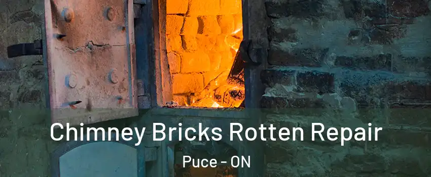  Chimney Bricks Rotten Repair Puce - ON