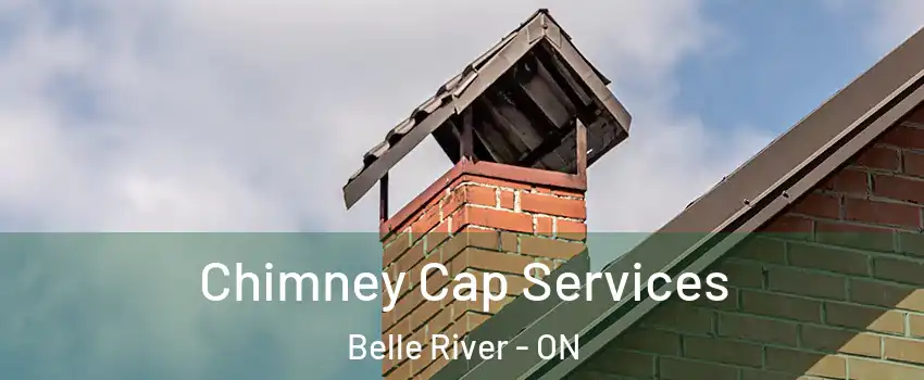  Chimney Cap Services Belle River - ON
