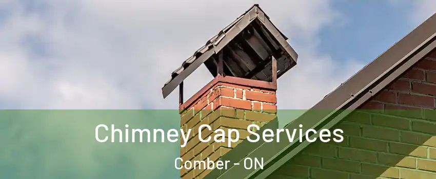  Chimney Cap Services Comber - ON