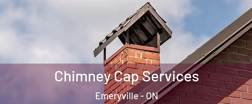  Chimney Cap Services Emeryville - ON