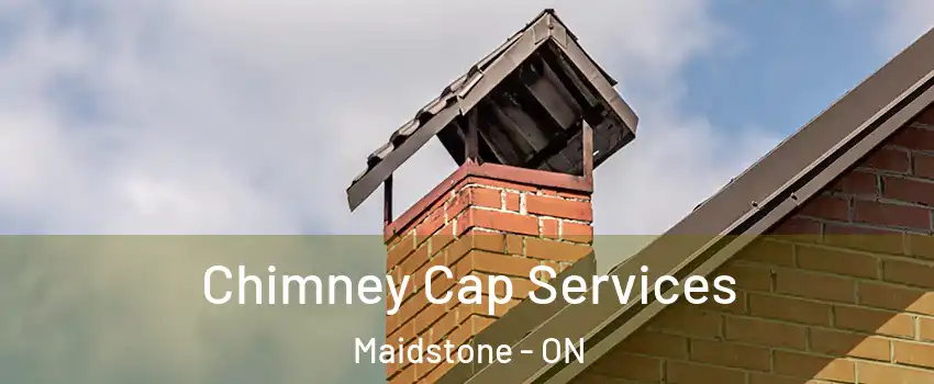  Chimney Cap Services Maidstone - ON
