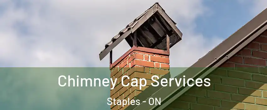  Chimney Cap Services Staples - ON