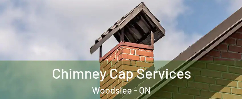  Chimney Cap Services Woodslee - ON