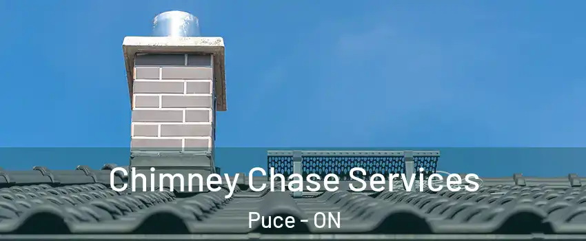  Chimney Chase Services Puce - ON