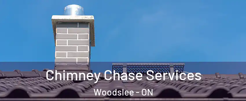  Chimney Chase Services Woodslee - ON