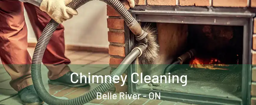  Chimney Cleaning Belle River - ON