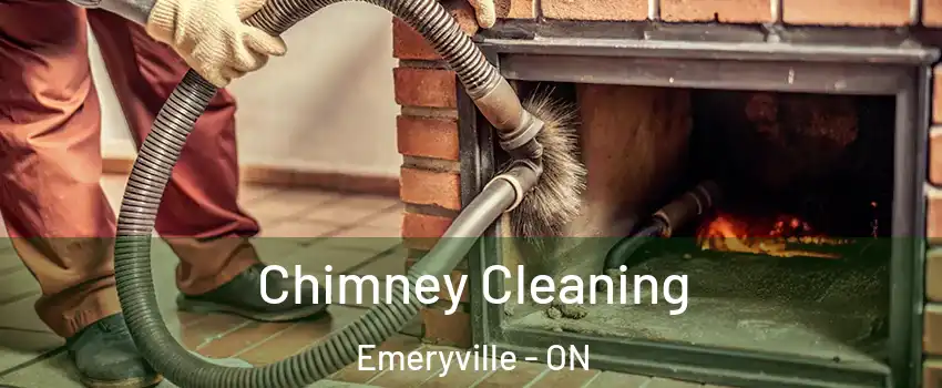  Chimney Cleaning Emeryville - ON
