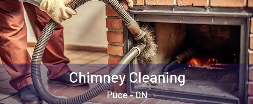  Chimney Cleaning Puce - ON