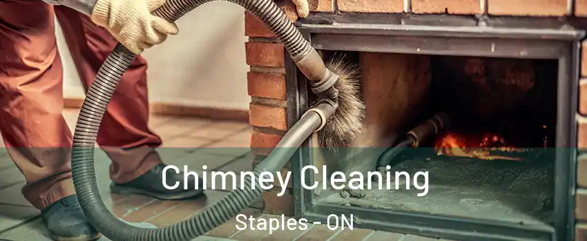  Chimney Cleaning Staples - ON