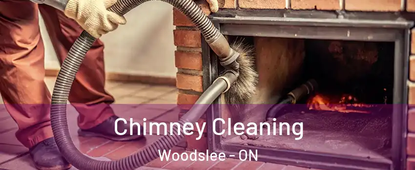  Chimney Cleaning Woodslee - ON