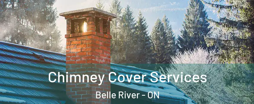  Chimney Cover Services Belle River - ON