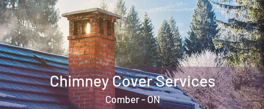 Chimney Cover Services Comber - ON