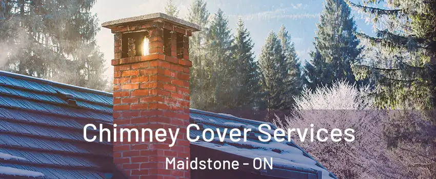  Chimney Cover Services Maidstone - ON