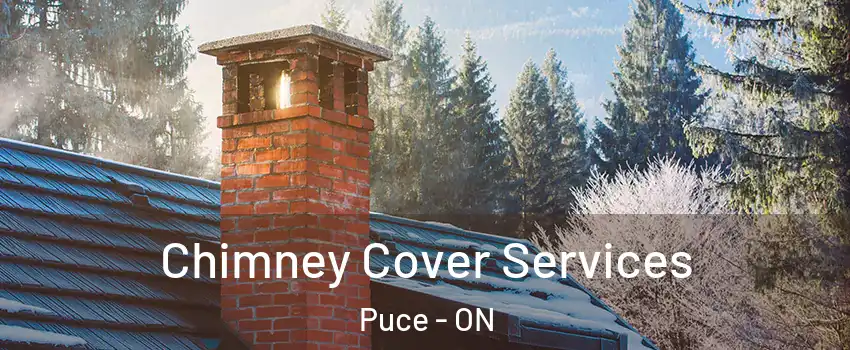  Chimney Cover Services Puce - ON