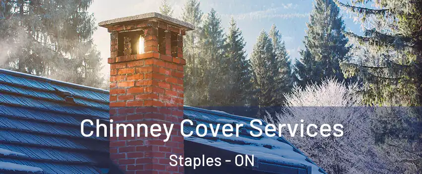  Chimney Cover Services Staples - ON