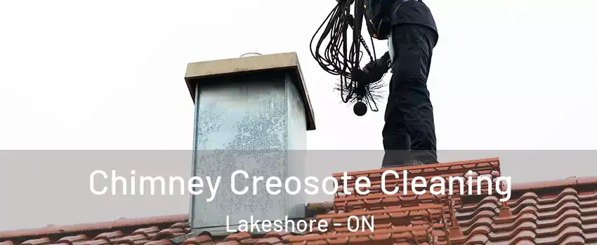  Chimney Creosote Cleaning Lakeshore - ON