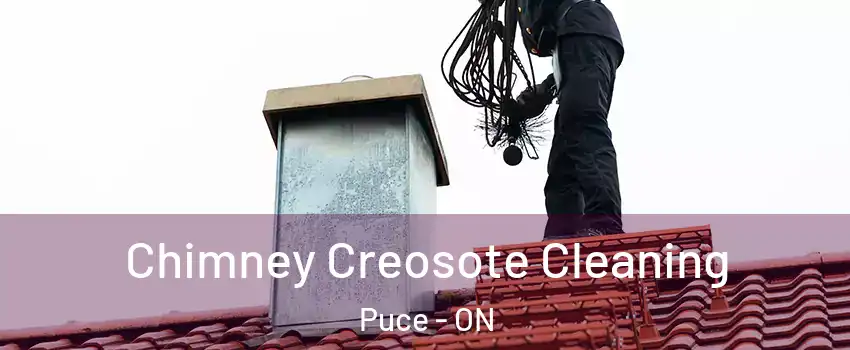  Chimney Creosote Cleaning Puce - ON