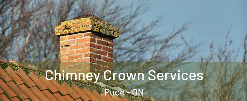  Chimney Crown Services Puce - ON
