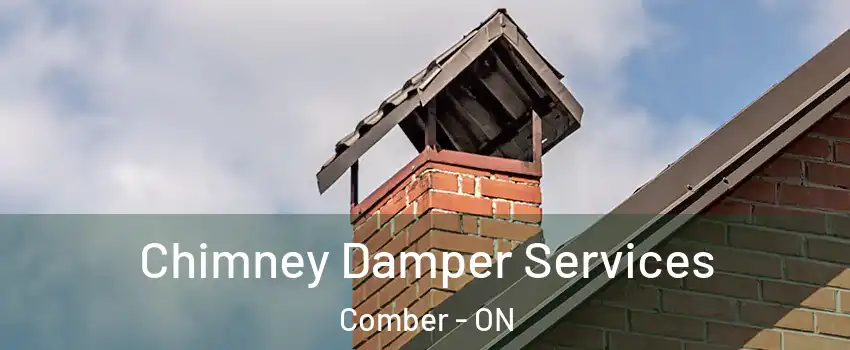  Chimney Damper Services Comber - ON