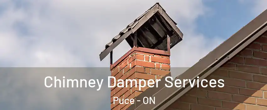  Chimney Damper Services Puce - ON