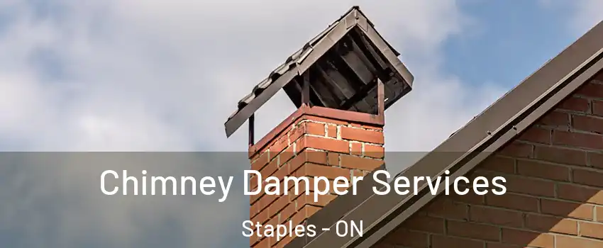  Chimney Damper Services Staples - ON