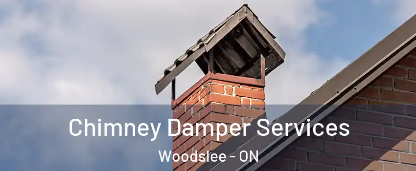  Chimney Damper Services Woodslee - ON