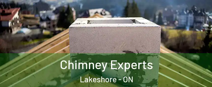 Chimney Experts Lakeshore - ON