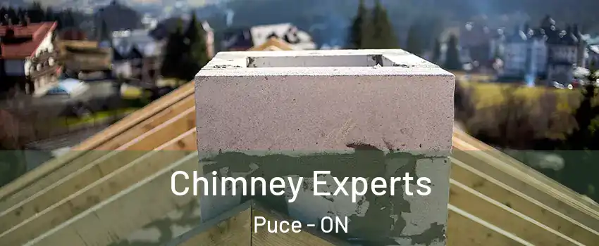  Chimney Experts Puce - ON